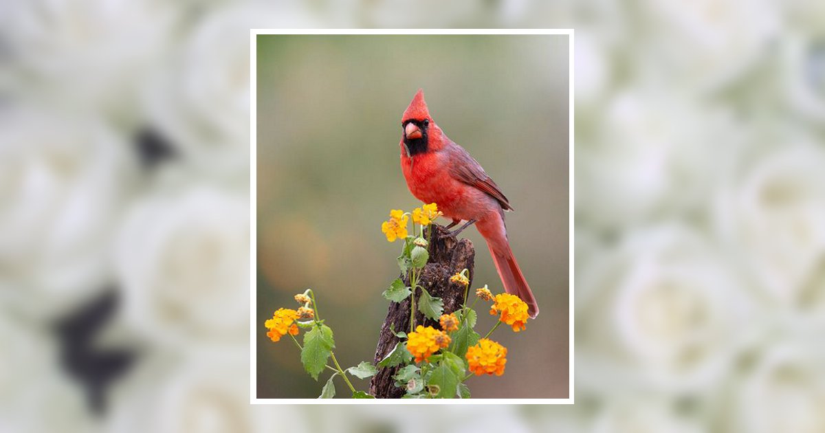 Beverly A. Cassidy Obituary, Holbrook, NY