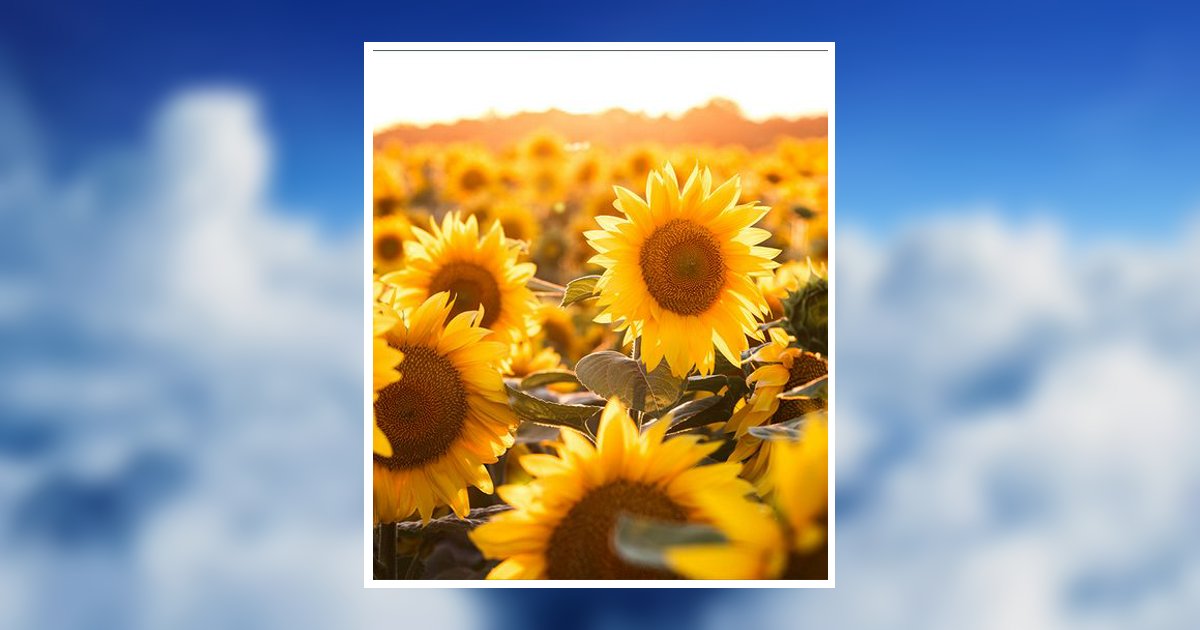 Denise E Hagel Sebring, FL Obituary