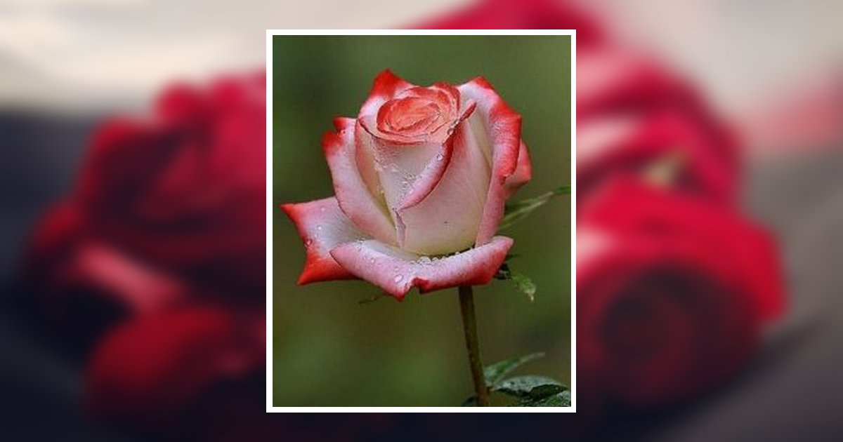 Patricia "Pat" Allen Taylor Obituary, Keysville, VA