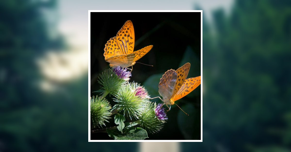 Mary Joan Wagoner Wharton, TX Obituary