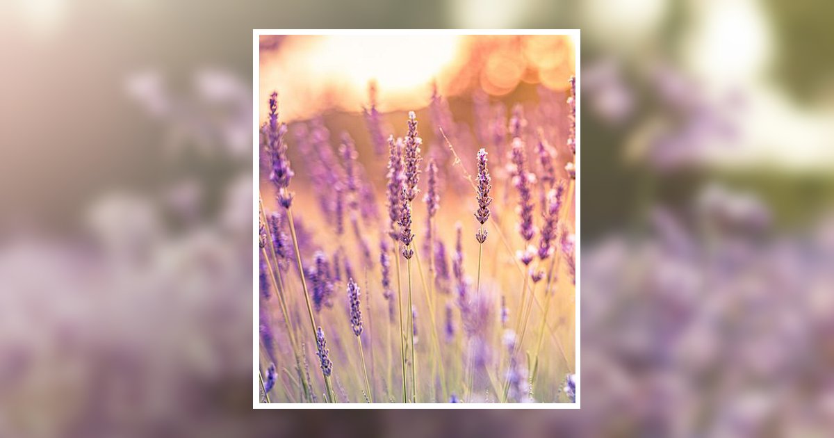 Carolyn Holland Pressley Obituary, Waynesville, NC