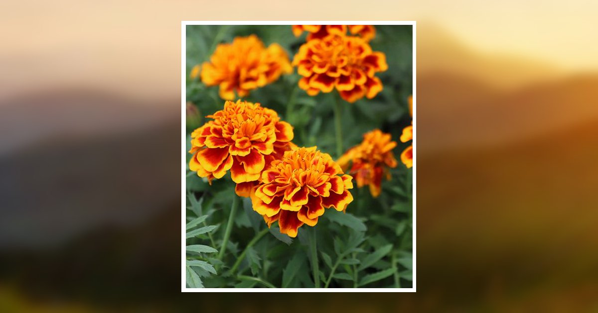 Carolyn Elizabeth Wilson Obituary, Chester, VA