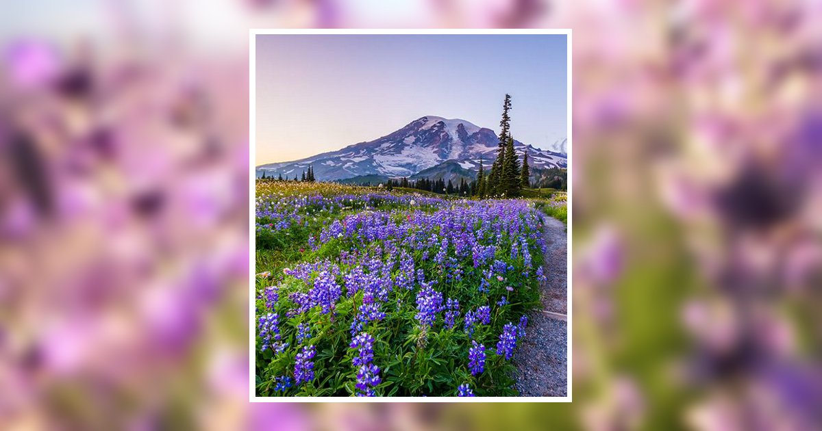 Cynthia A. Polk Obituary, Zillah, WA
