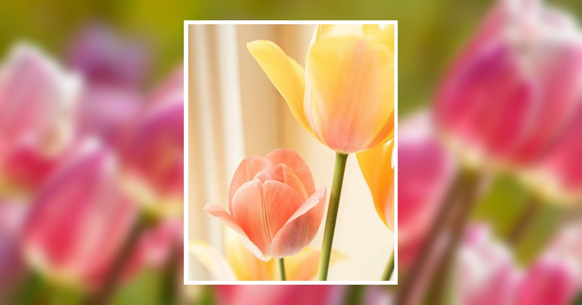 Charlene Godfrey Morehead City, NC Obituary