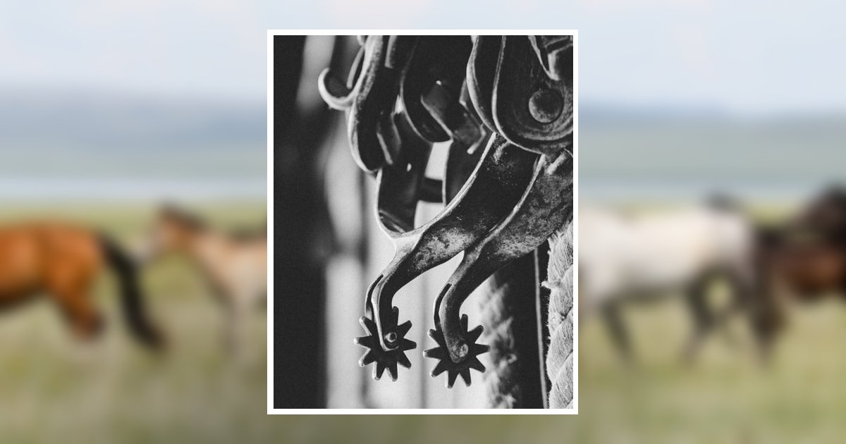 Carol Ann Kissel Obituary, Cheyenne, WY