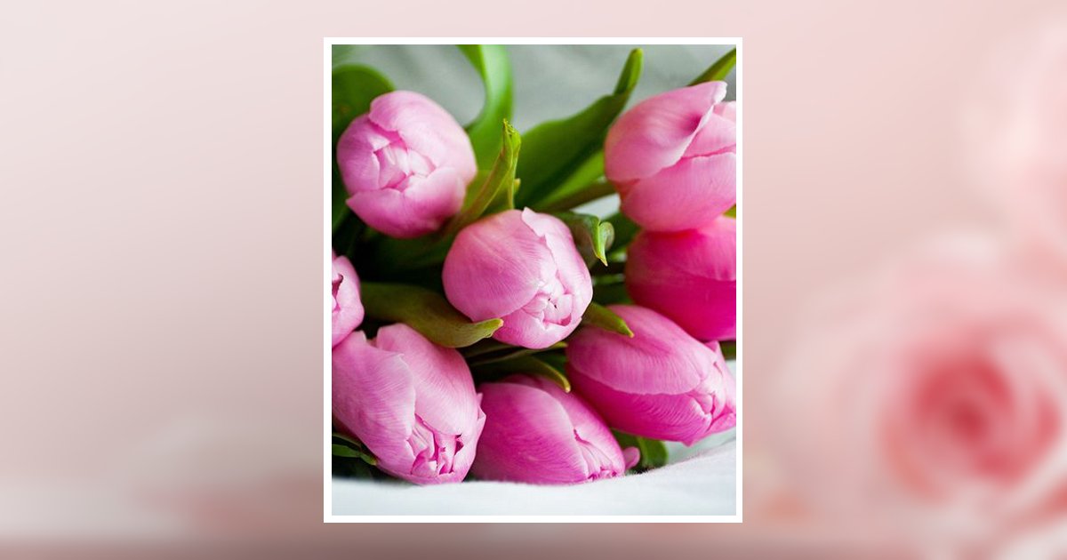 Patricia Ann Collins Obituary, Superior, WI