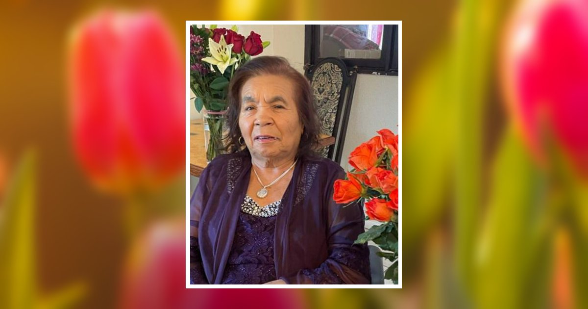 Esther Ramirez De Castro Obituary, Adel, IA
