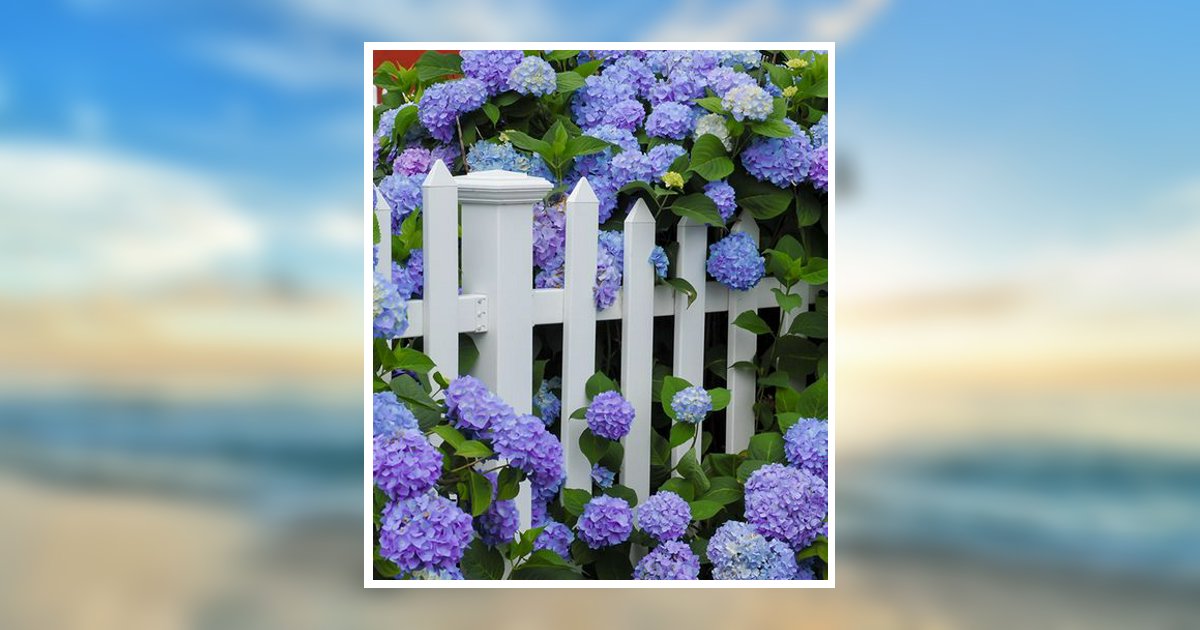 Patty Yvonne Timperio Obituary, Lawrenceville, VA