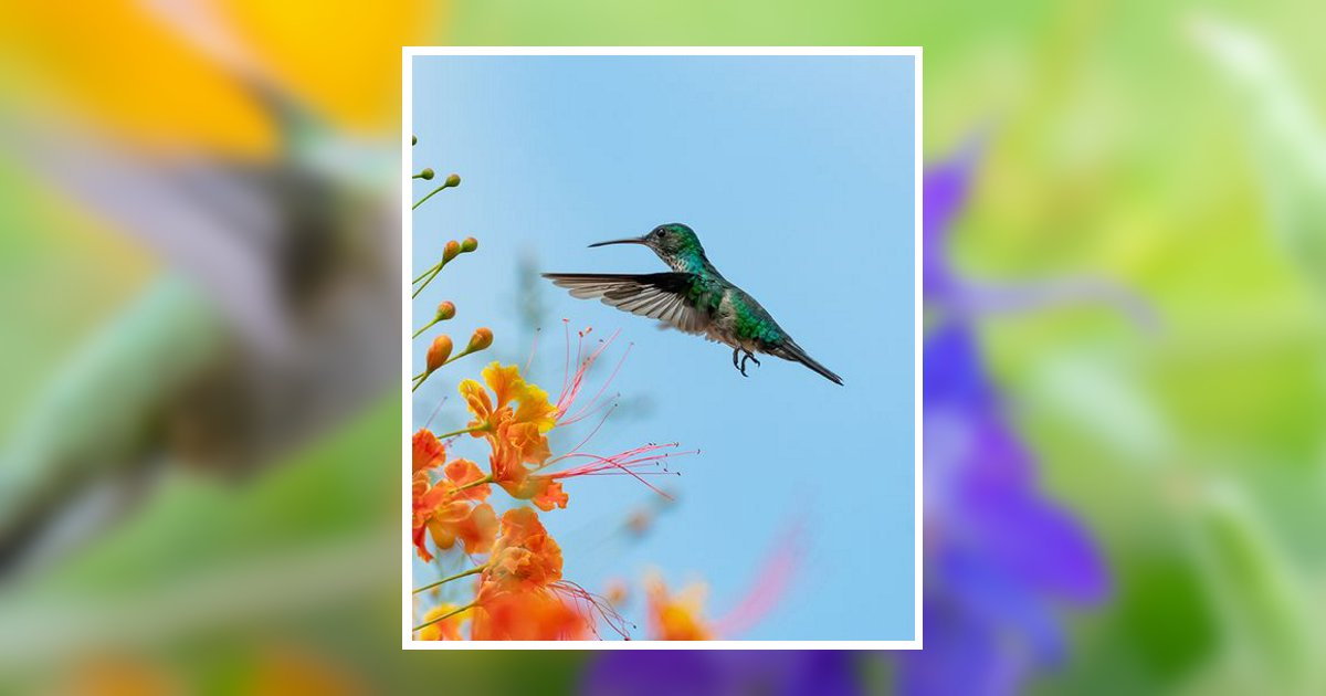 Kathy Wood Richter Obituary, Moultrie, GA