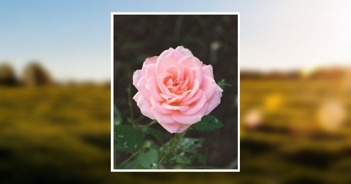 Celia Sue (Carrick) Lewis Obituary 2023 Swearingen Funeral Home