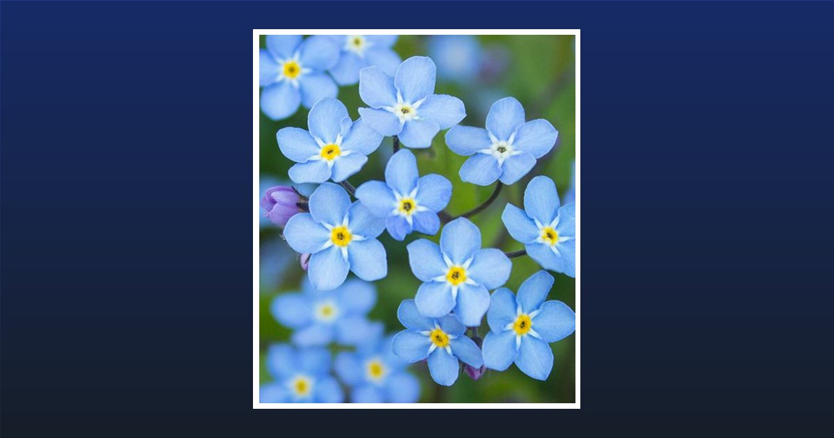 Mary Ann Johnson Obituary, Bloomfield, MO