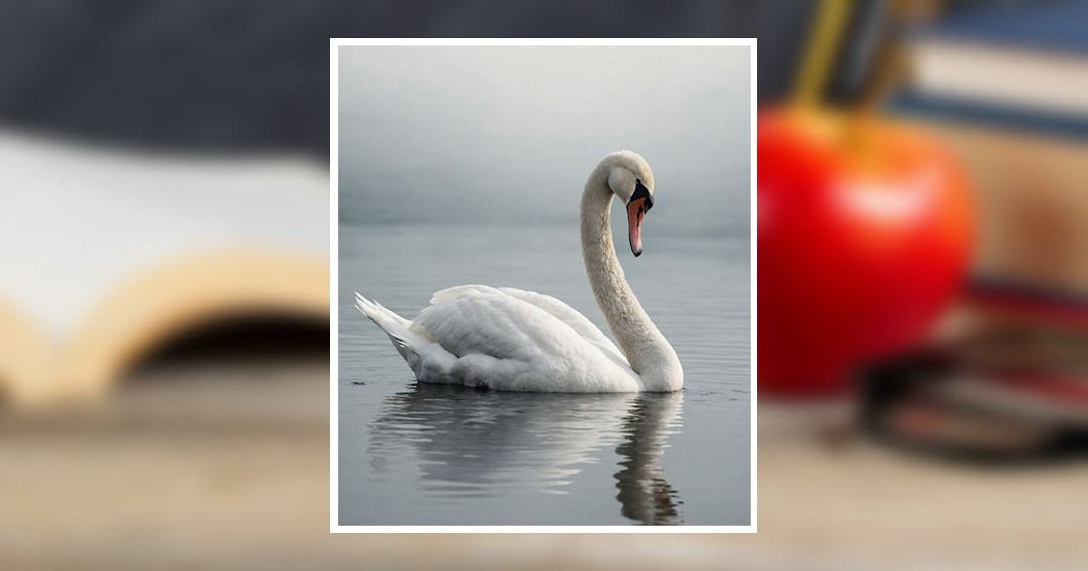 Judy Root Obituary, Graham, NC