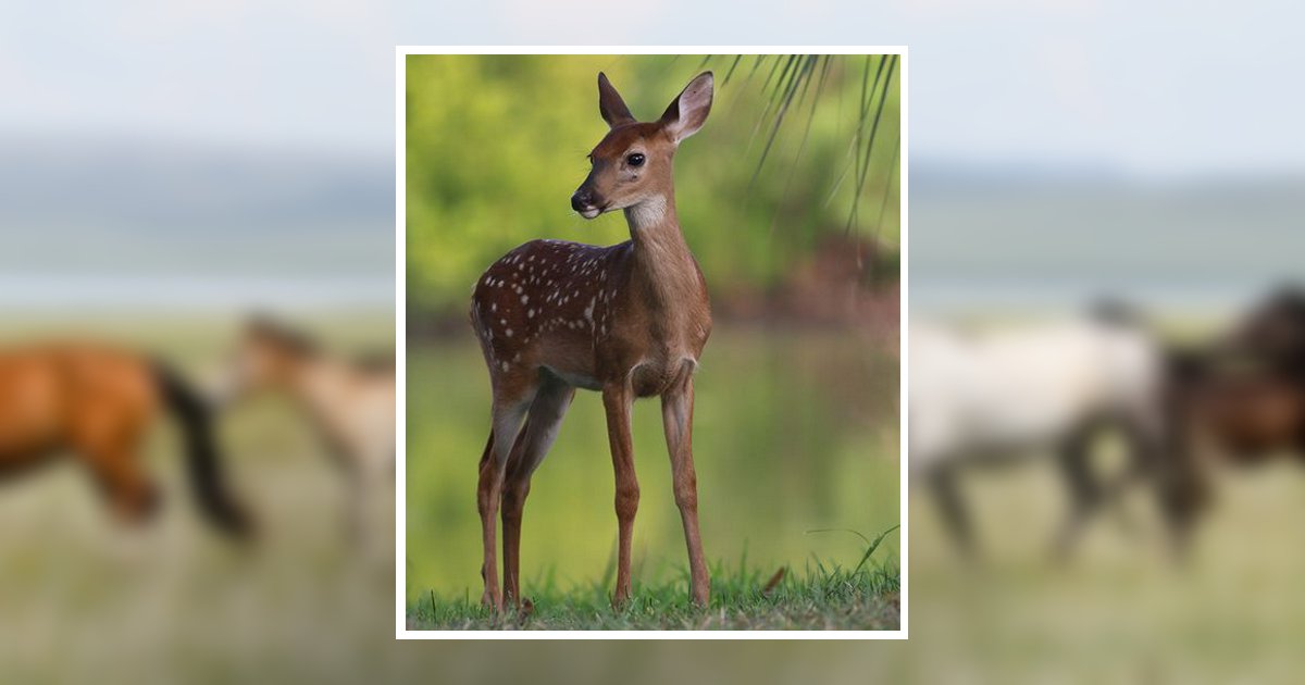 Gary Lue Larson Chillicothe, MO Obituary