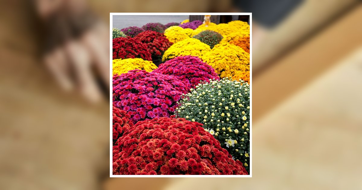 John R. Barnes Obituary, Elizabethtown, PA