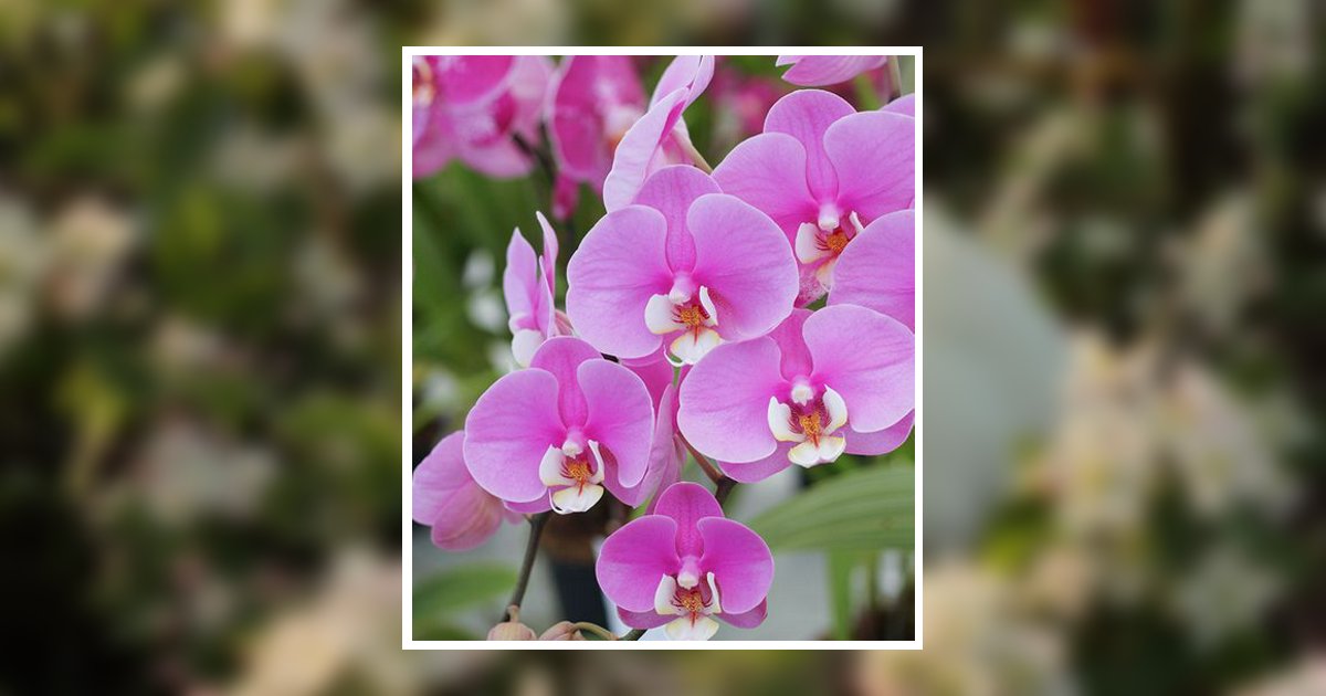 Portrait of Mary Ann Stevenson