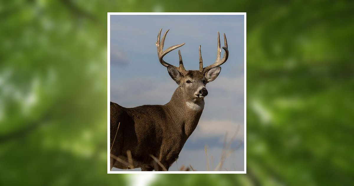 Jonathan Conway Bennett