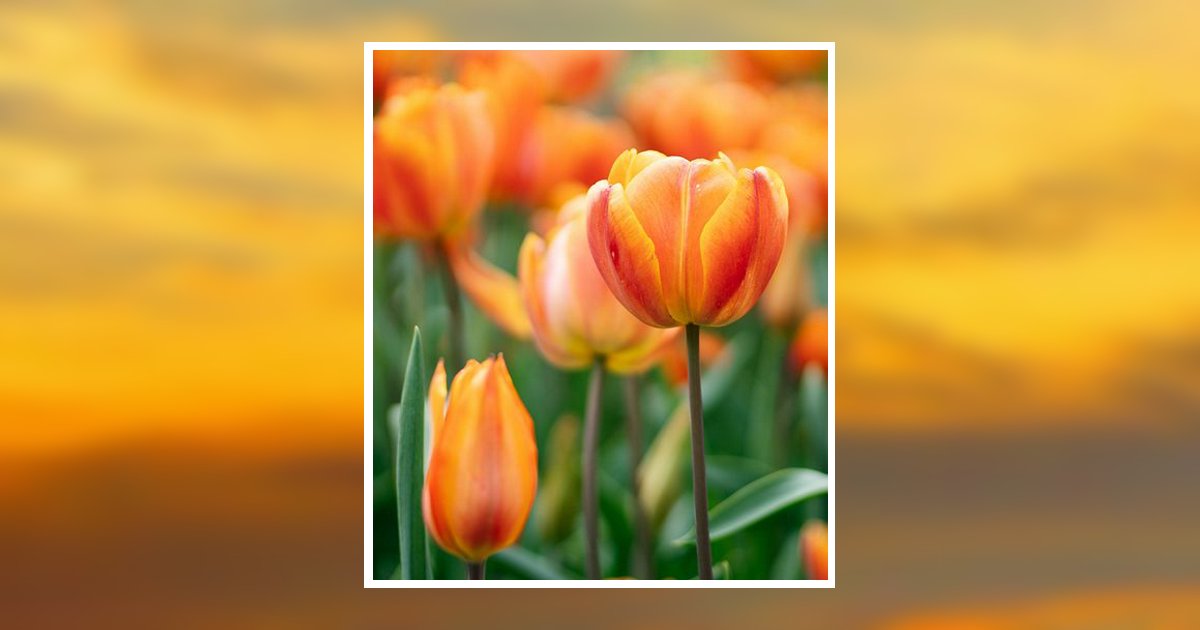 Lori A. Mchenry Lewisburg, PA Obituary