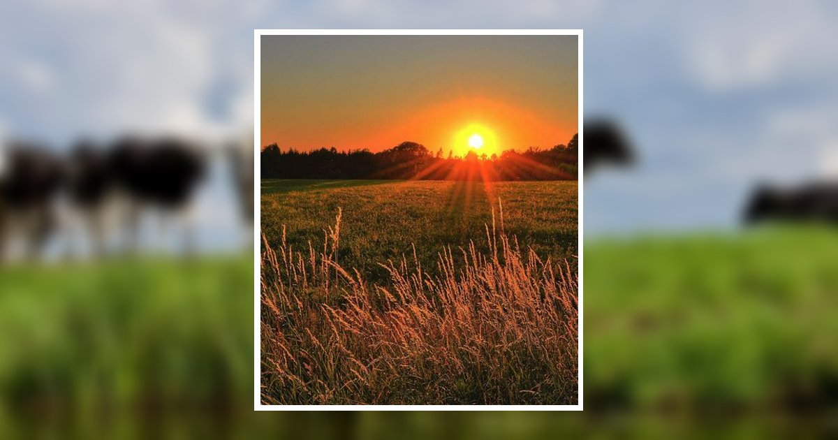 Daniel N. Zimmerman Obituary, Williamsburg, PA