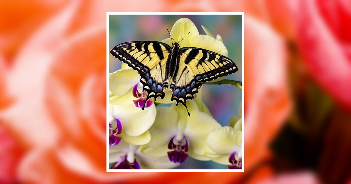 June Annamary Hreha Obituary, Live Oak, FL
