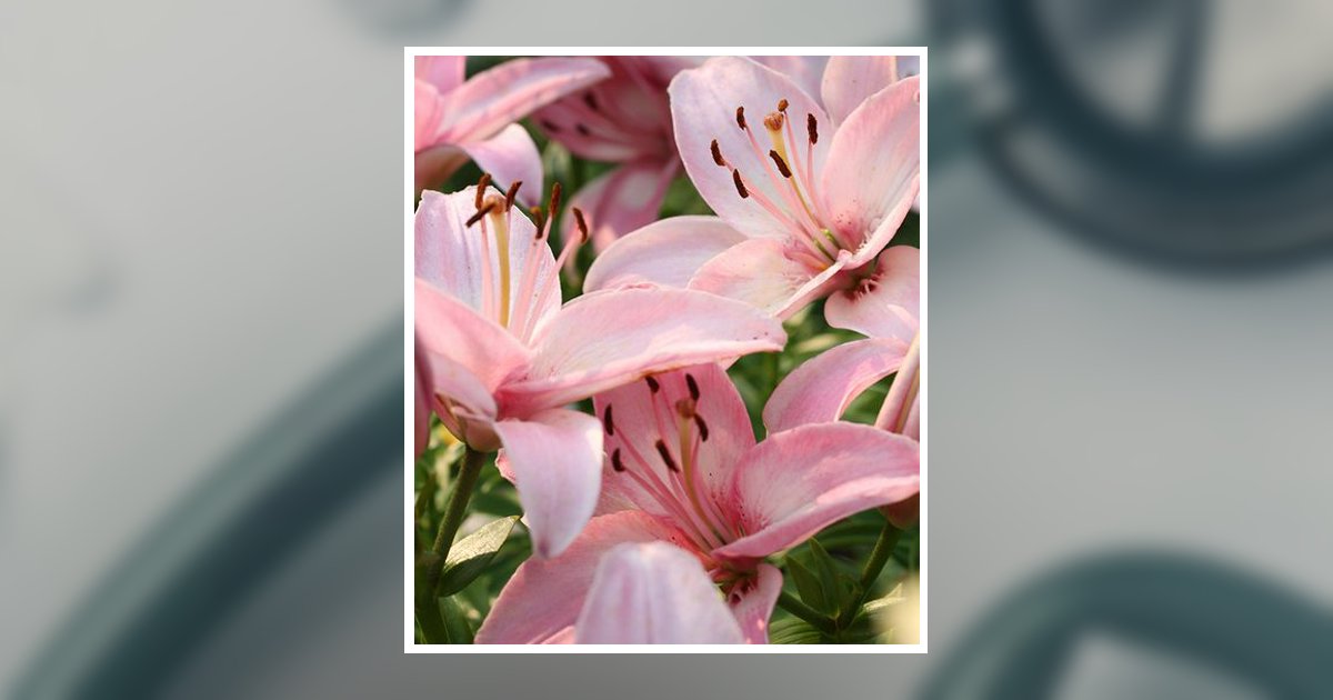 Nancy Lou Zoelk Obituary, Menasha, WI