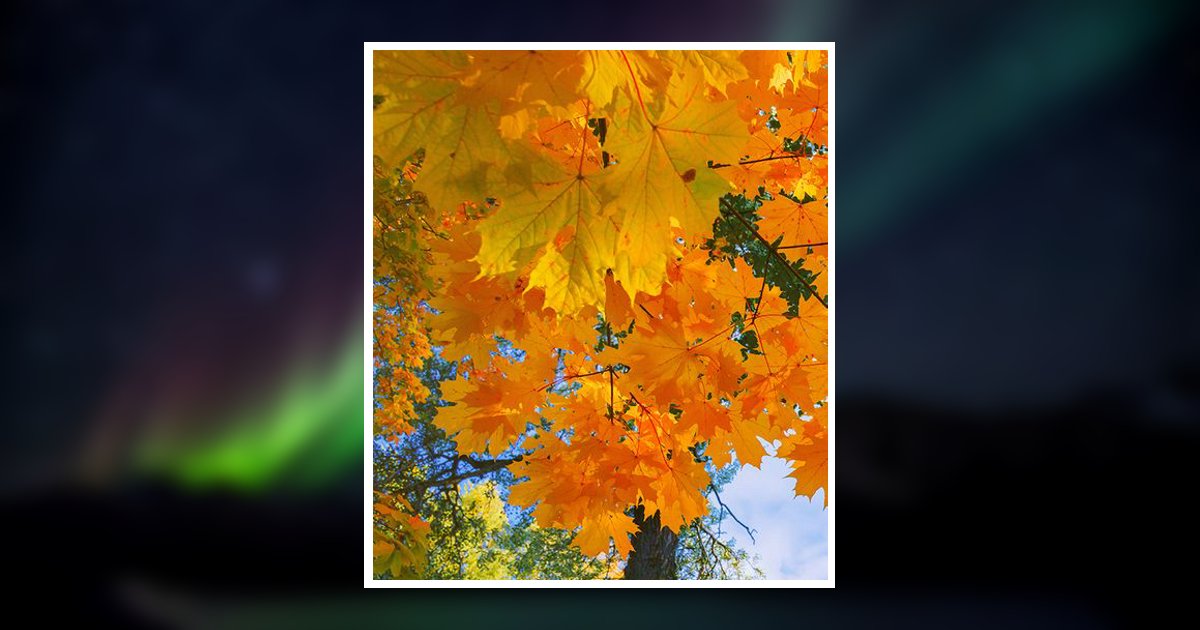 Hilary G. Noyes Obituary, Dedham, MA