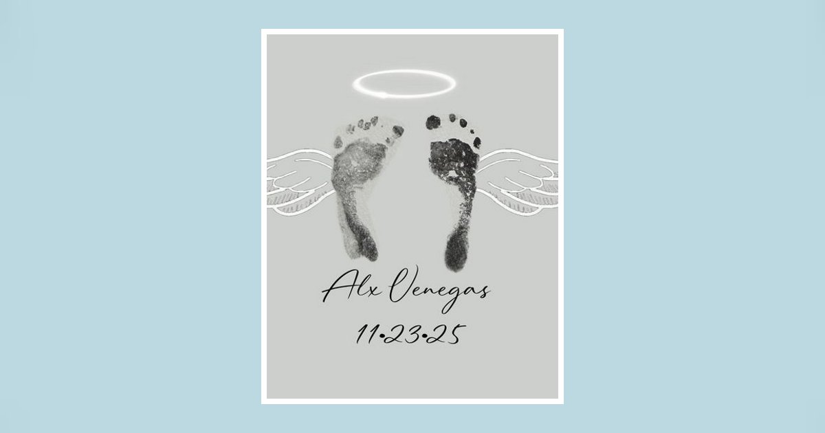Alx Venegas Obituary, Edinburg, TX