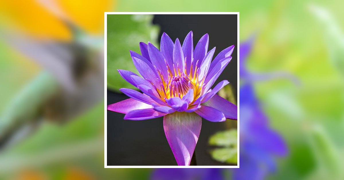 Angela Christine Kilgore Obituary, Beavercreek, OH