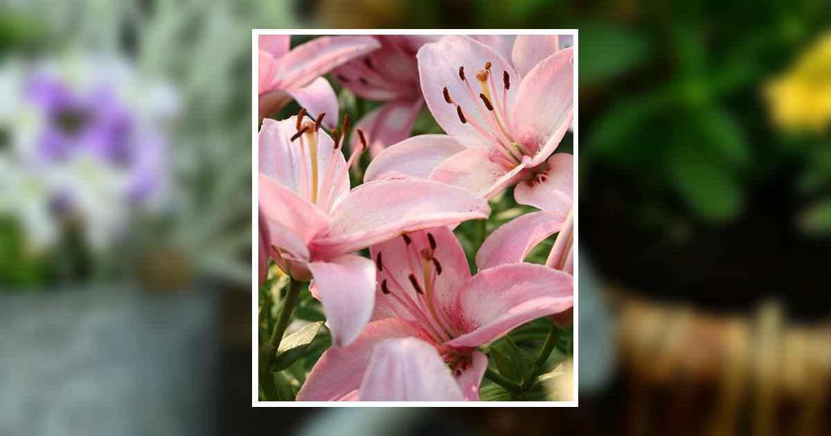 Abby Lynn Gardner Obituary, Springville, UT