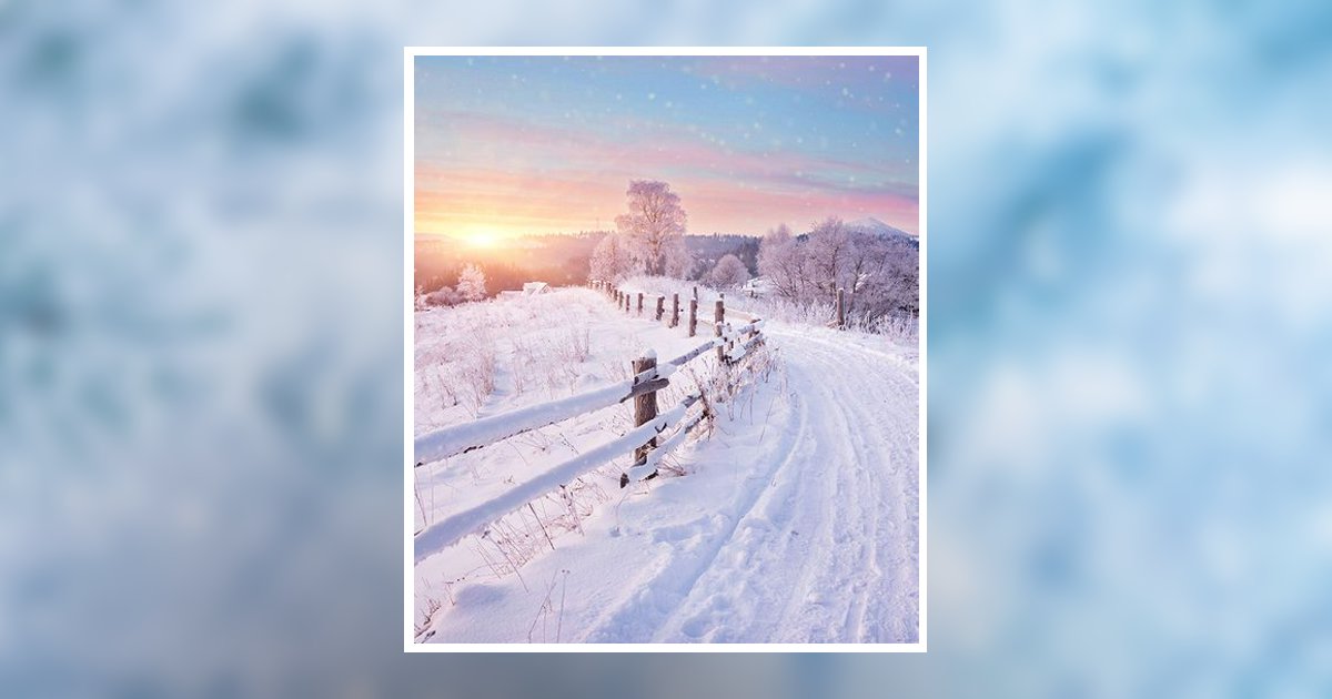 Anna M. Gress Obituary, Levittown, PA