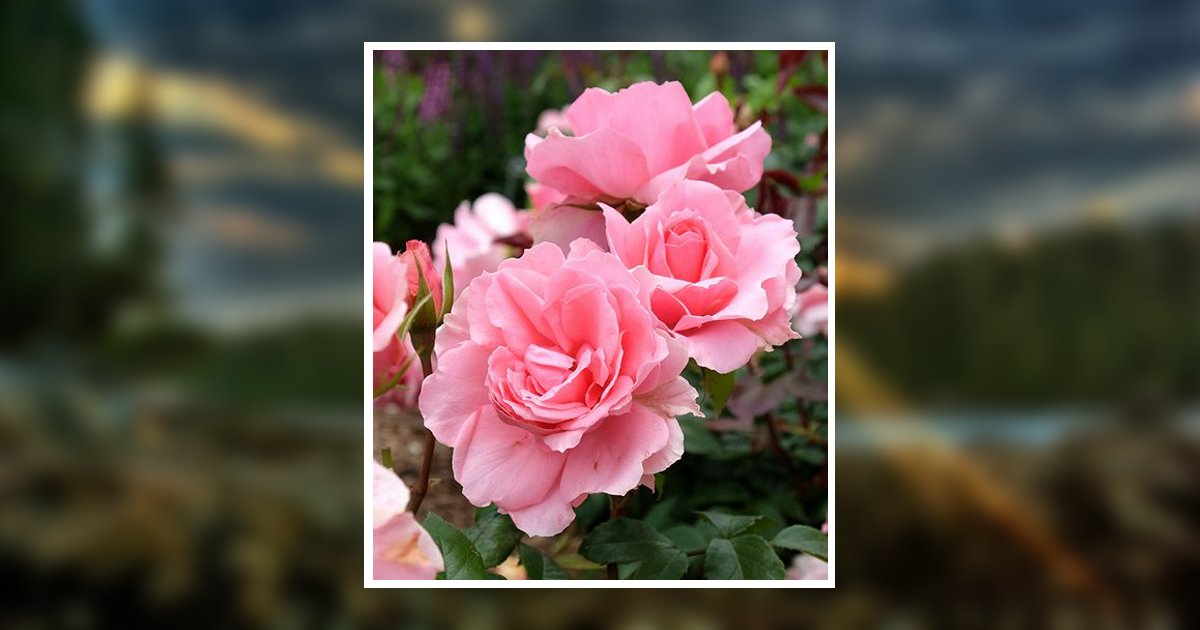 Suzette Lashelle Noyes Fisher Obituary, Magna, UT