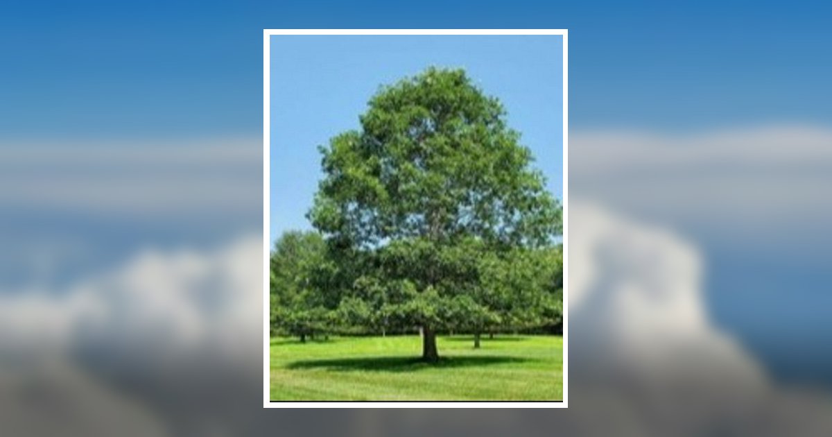 Randolph John Pilc Obituary, Dallas, PA