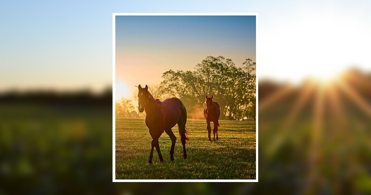 Jerry Carroll Bowling Green, KY Obituary