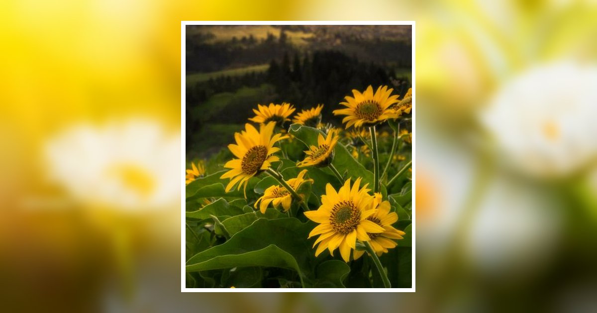 Jeanette Irene Chapman Obituary, Prescott, AZ