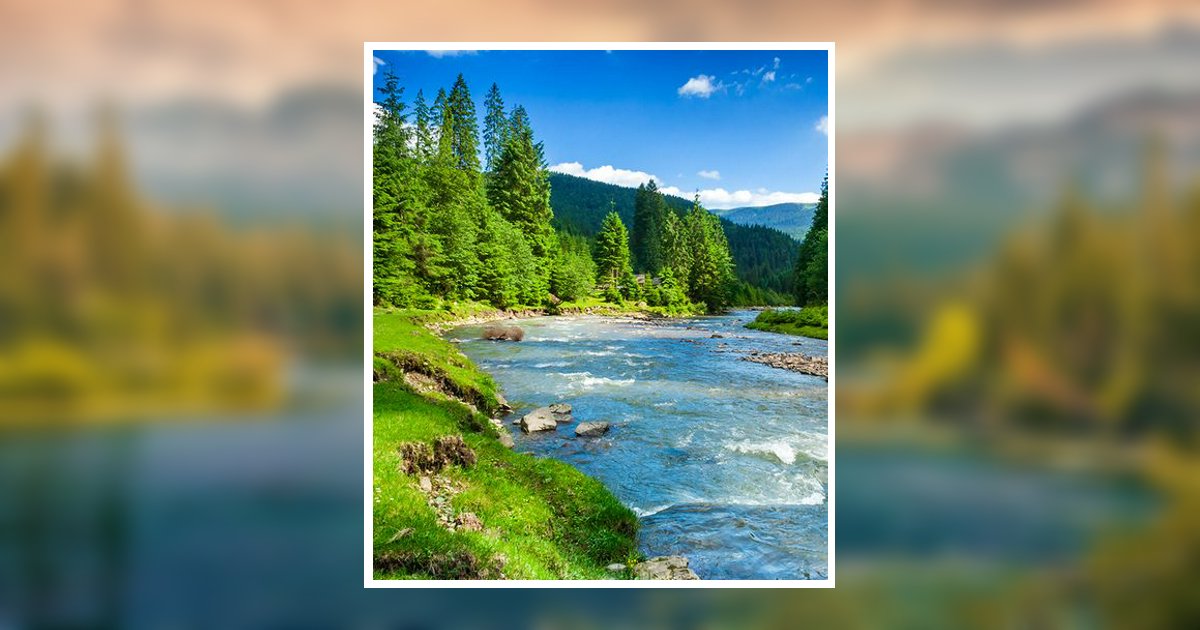 Jackie Ray Kilday Obituary, Fall Branch, TN