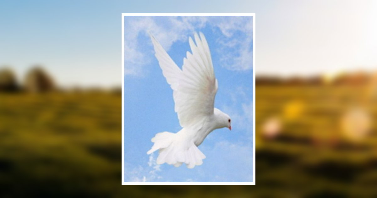 Timothy "Tim" Allan Waibel Obituary 2022 Cremation Society of