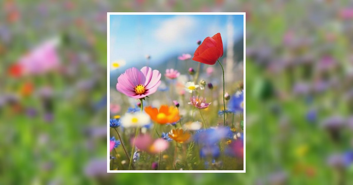 Ina O. Smolker Stoughton, WI Obituary