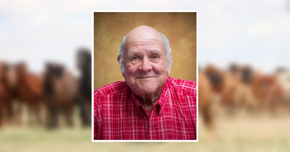 Robert Kane Obituary 2024 Vining Funeral Home