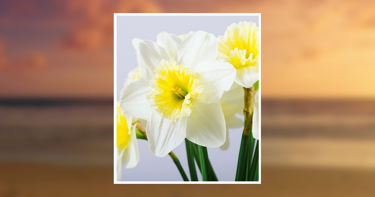 Dana Ann Borkowski Rushford, MN Obituary