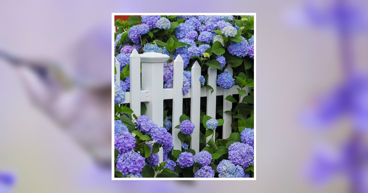 Brenda Letrell Mims Edwards Obituary, Clanton, AL