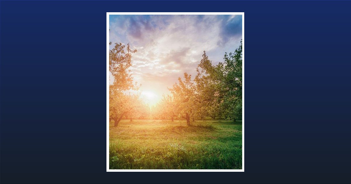 Virginia "Ginny" Jean Alderman Obituary, Clearwater, NE