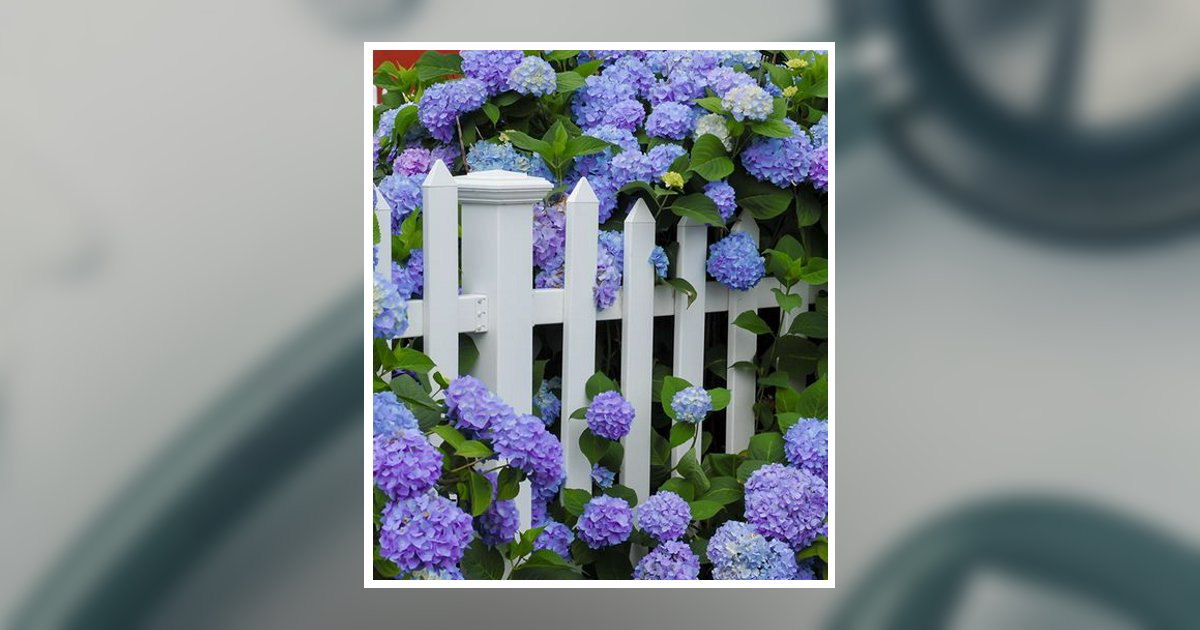 Eriollyn E.J. Weiss Obituary, Baltimore, OH