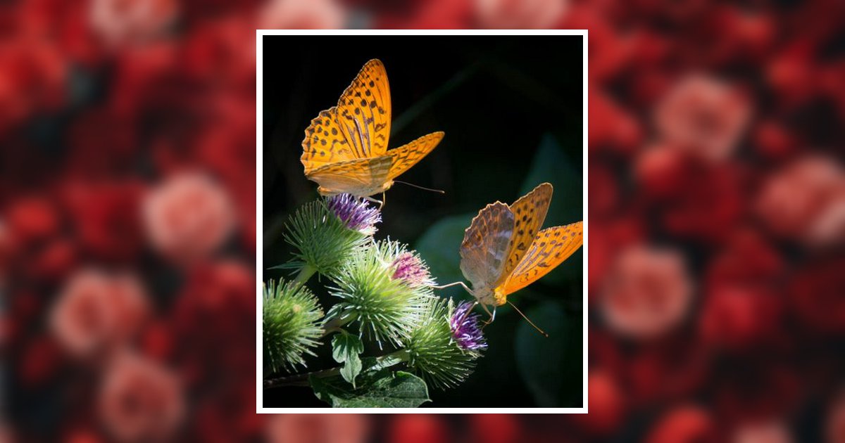 Geraldine Black Obituary, Quinlan, TX