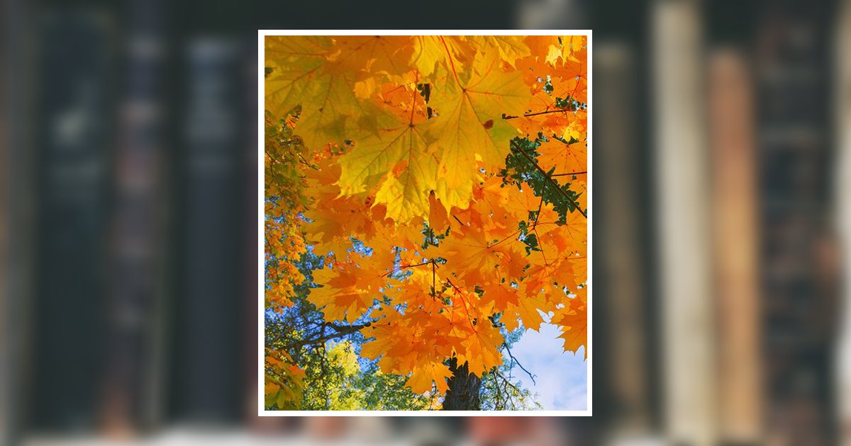 Alice Carol Mccloskey Obituary, Bensalem, PA