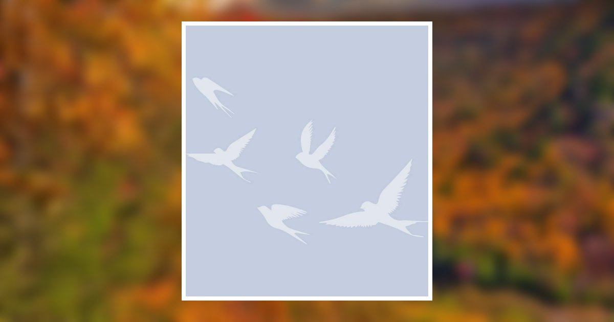 Craig Burton Johnson