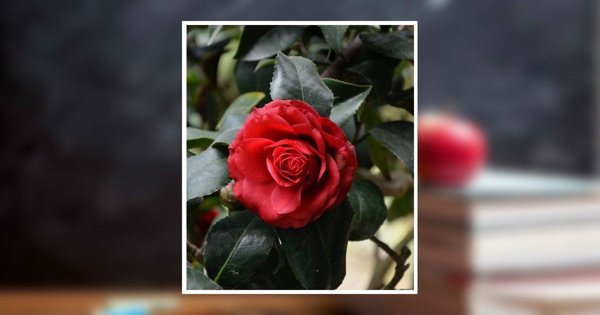 Phyllis Marie Klepser