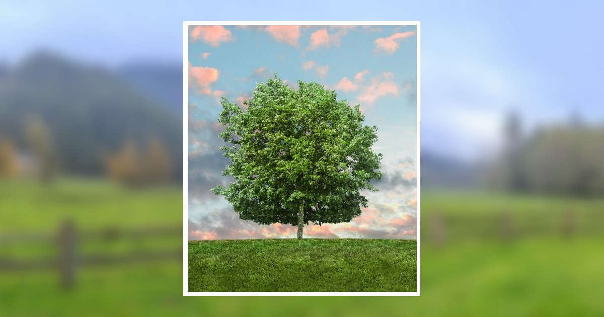 Joseph T. "Joe" Tolbert Obituary, Mount Airy, NC