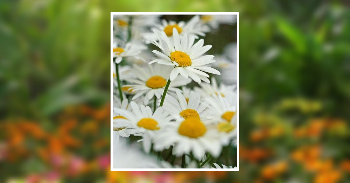 Picture Anita Marie Causey Thornton