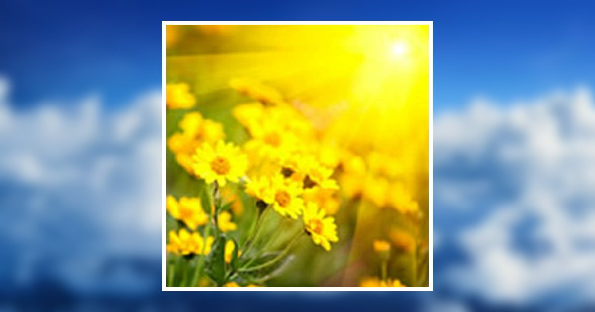 Raymond "Ray" Lester Lawrence Obituary, Wood River, IL