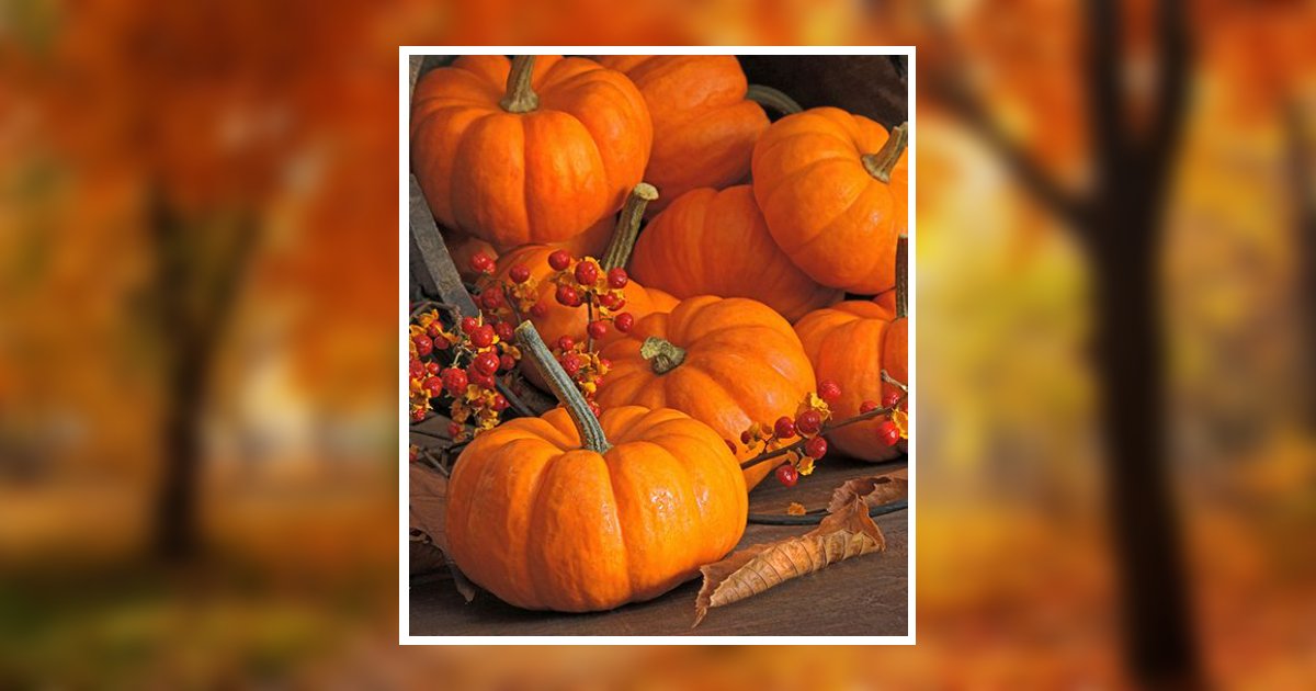 Pamela Cline Boggs Obituary, Graham, NC