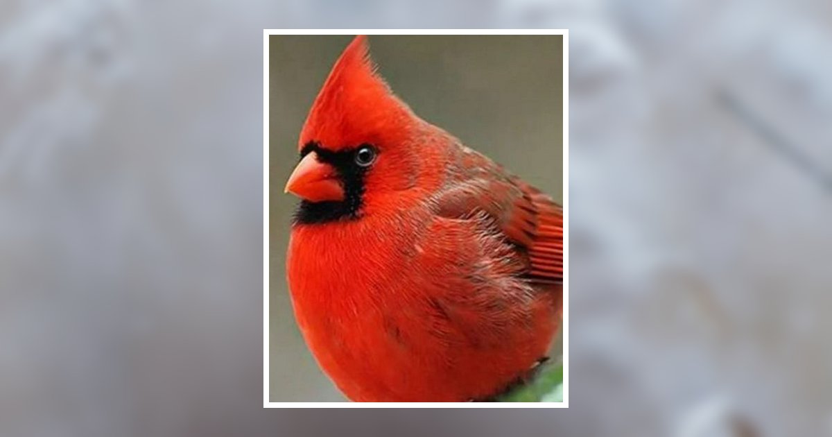 Bonnie Ree Guess Obituary 2024 TisdaleLann Memorial Funeral Homes